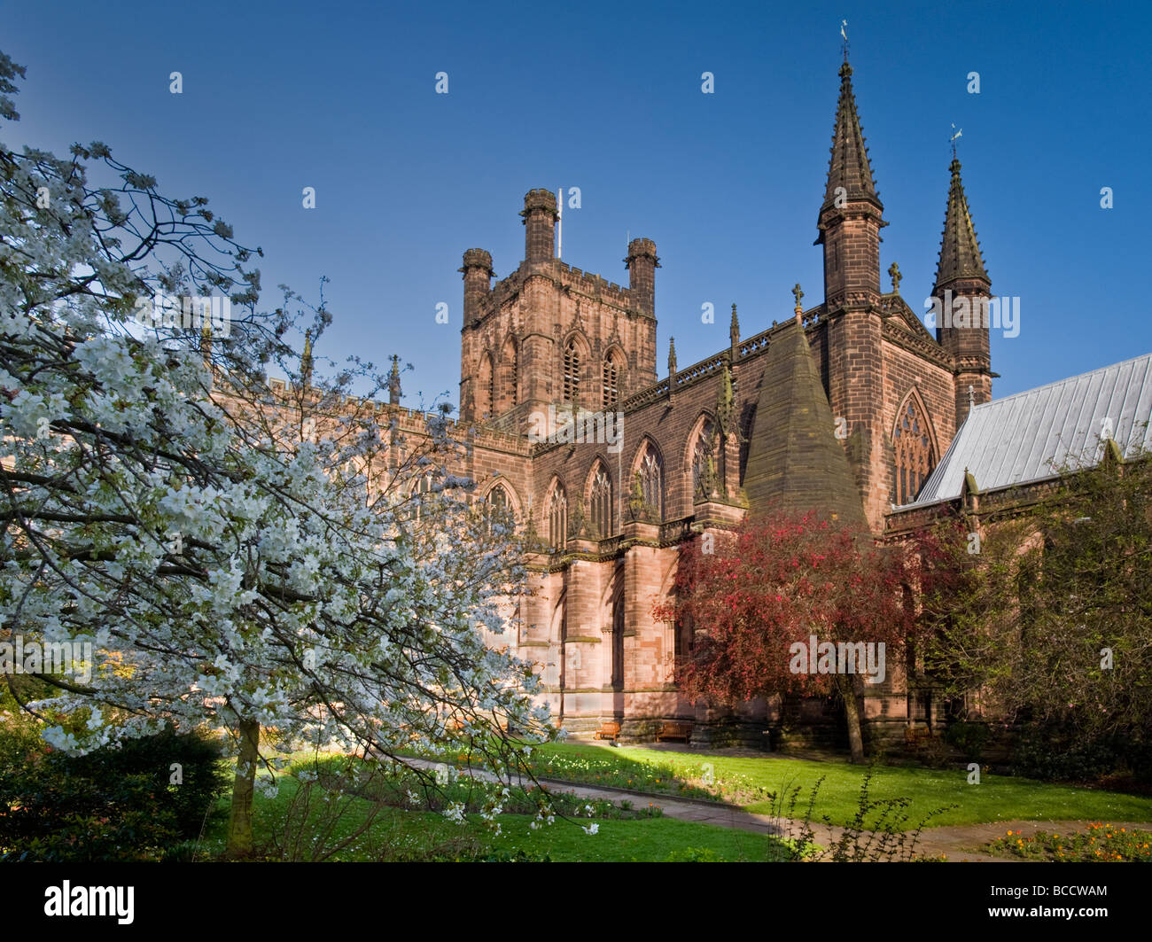 Kathedrale von Chester im Frühling, Chester, Cheshire, England, Vereinigtes Königreich Stockfoto