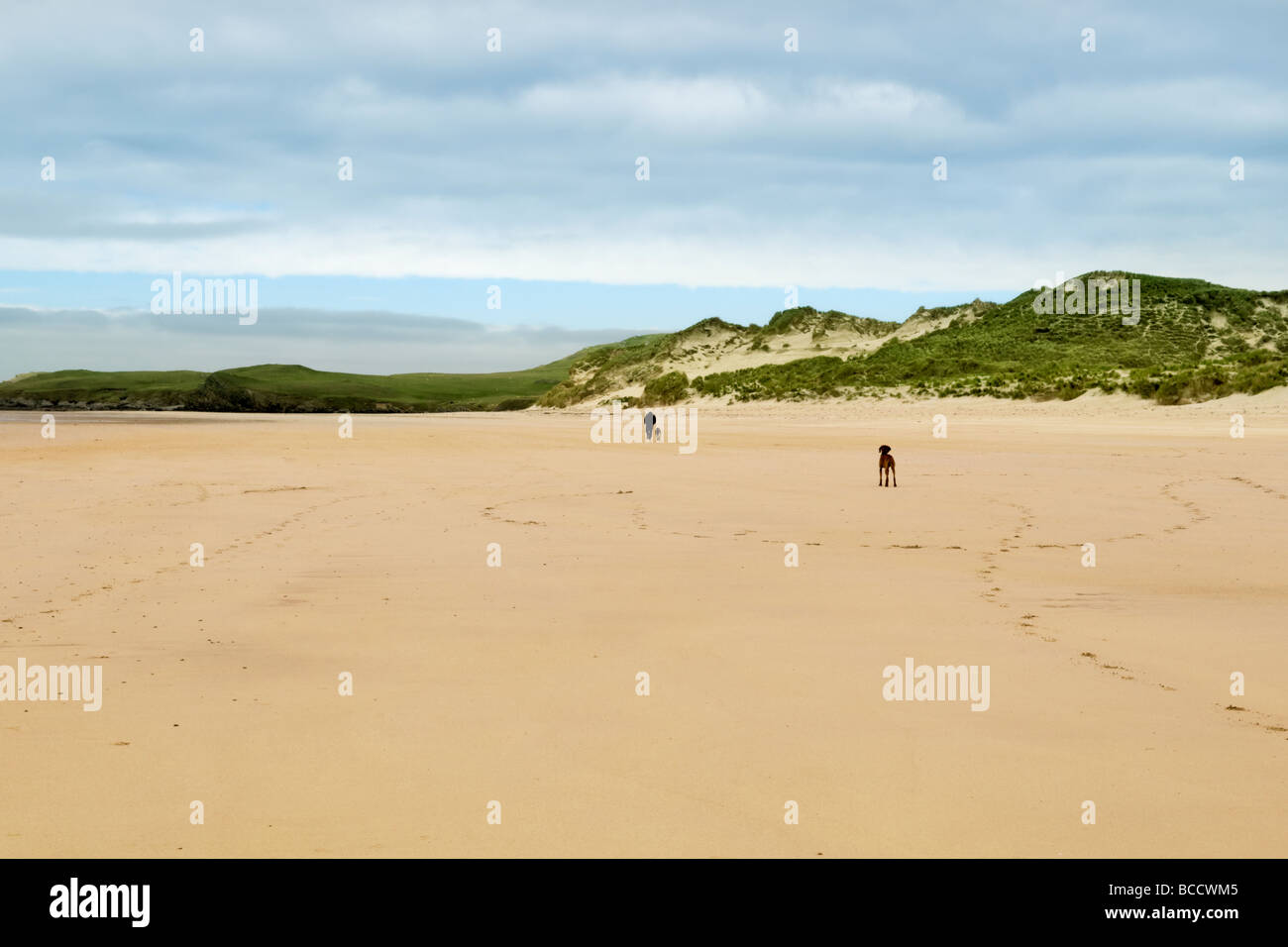 Sandstrand und die Bucht von Balnakeil Bucht, Durness, Sutherland in Schottland mit Mann zu Fuß Hunde in der Ferne Stockfoto
