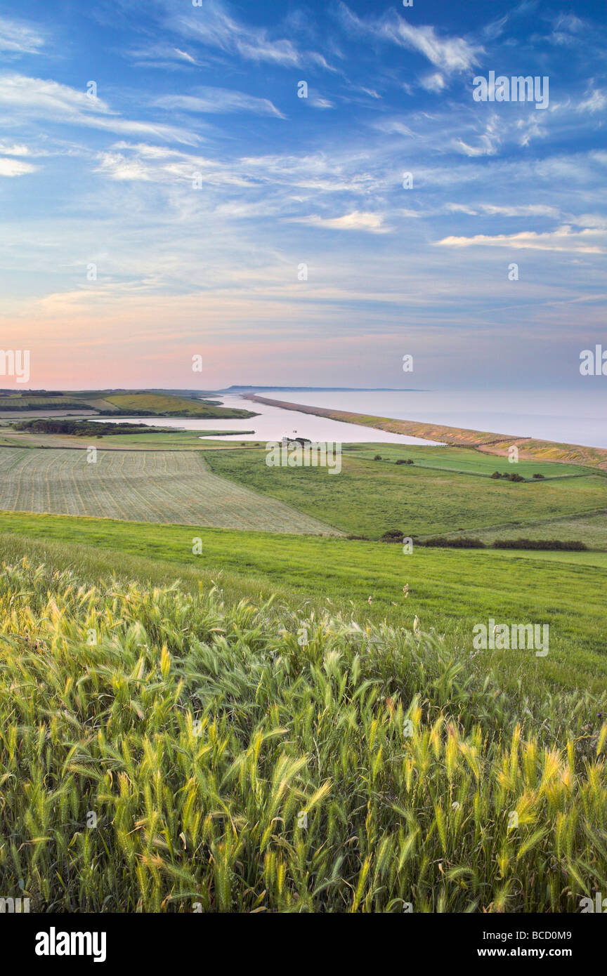 DIE Flotte & CHESIL BEACH mit Blick auf die Isle of Portland. Jurassic Coast. UNESCO-Weltkulturerbe. Abbotsbury. Dorset Stockfoto