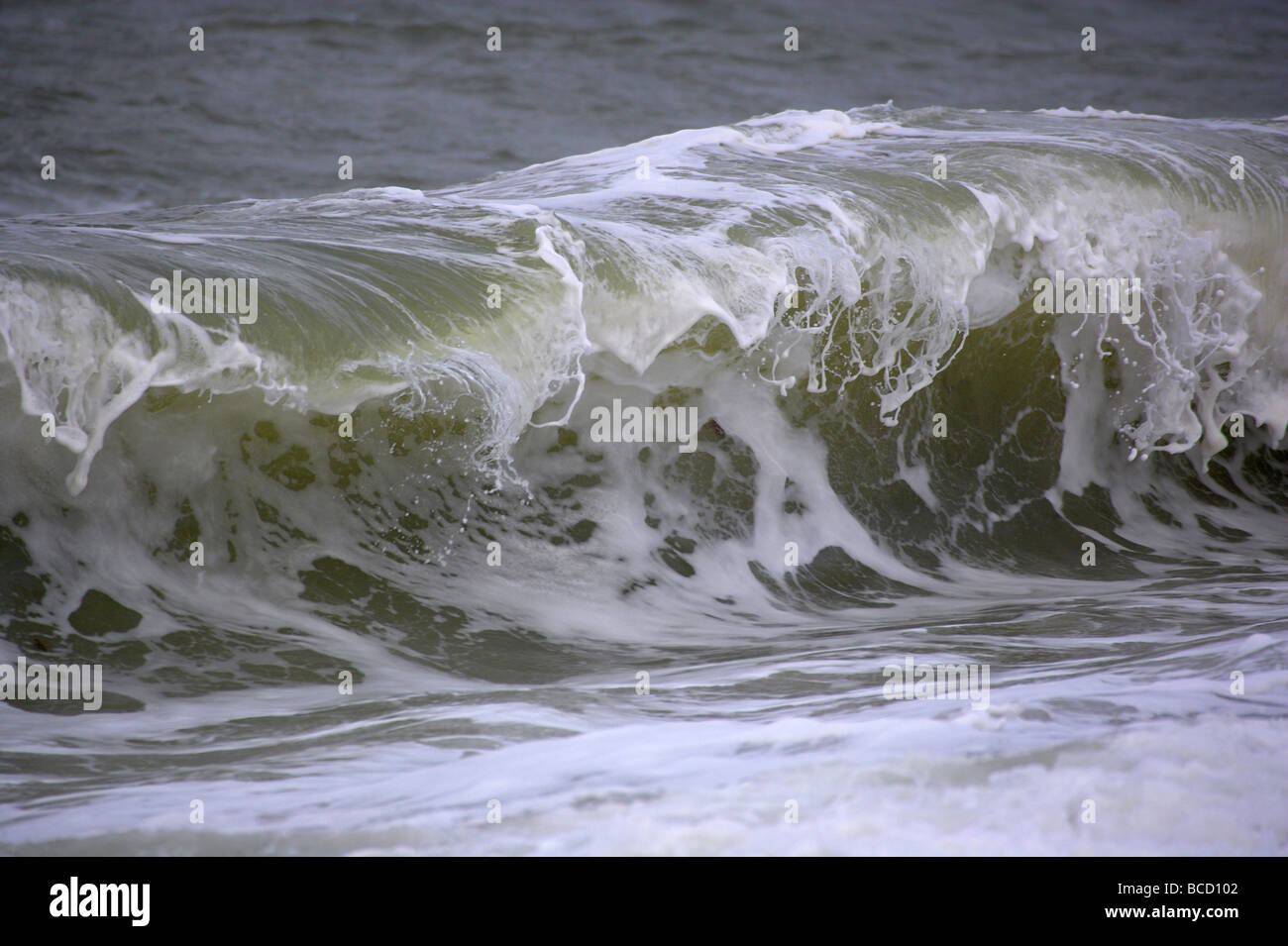 Welle. Devon Stockfoto