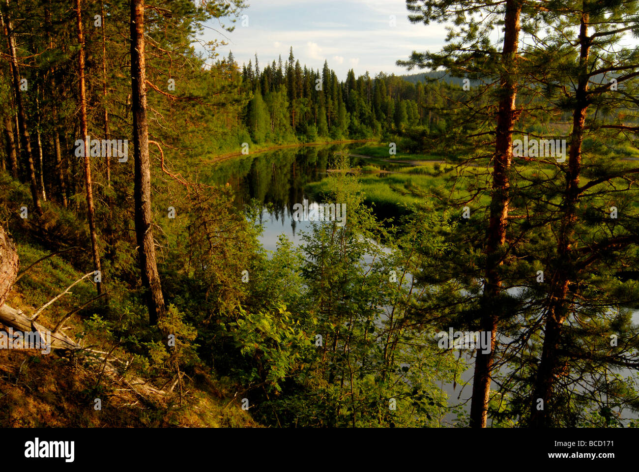 OULANKAJOKI oder Fluss OULANKA. Oulanka-Nationalpark. Finnland Stockfoto