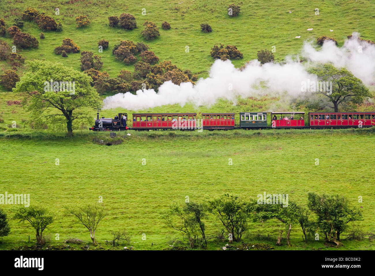Dampf-Lokomotive Nr. 1 "Talyllyn" ziehen einen Zug auf der Talyllyn Railway in der Nähe von Dolgoch, Gwynedd, Wales Stockfoto
