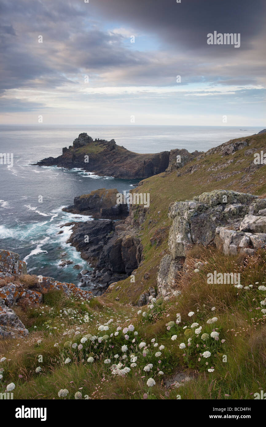 Knurrhahn Kopf in Cornwall, England Stockfoto