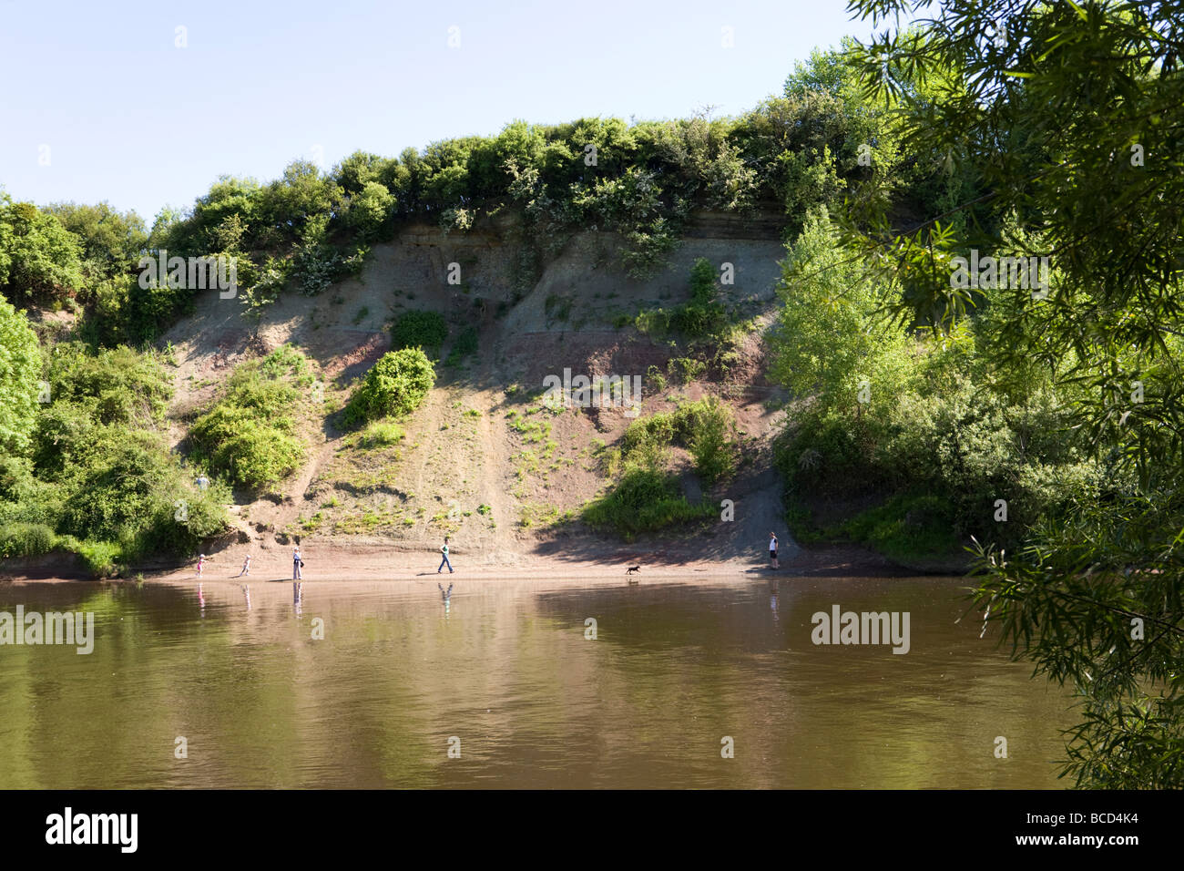 Wainlode Cliff, ein geologisches SSSI am Fluss Severn in Wainlodes Hill, Gloucestershire, Großbritannien Stockfoto