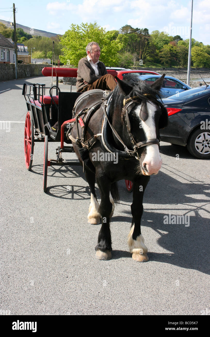 Alter Mann sitzt im Pferdewagen in der Stadt Omeath, County Louth, Irland Stockfoto