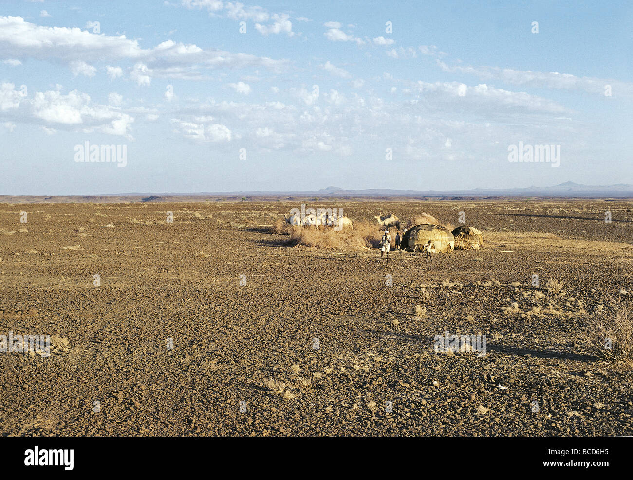 Gabbra dörfliche Siedlung aus zwei Häusern nördlich von Marsabit am östlichen Rand von der Chalbi Wüste nördlichen Kenia in Ostafrika Stockfoto