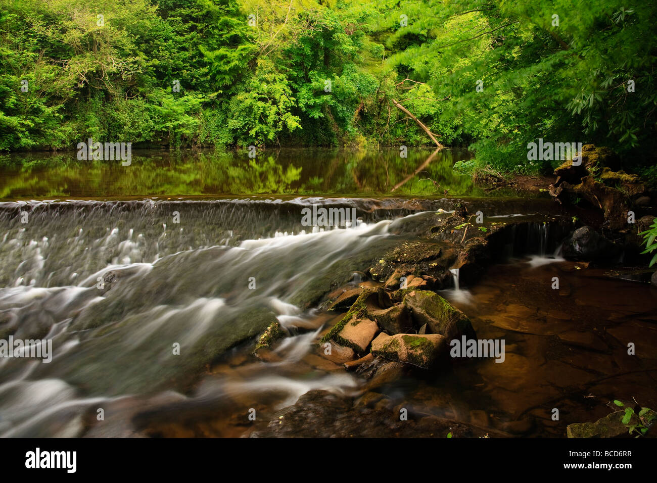 Fluß Ayr, Wehr von Sorn, ayrshire Stockfoto