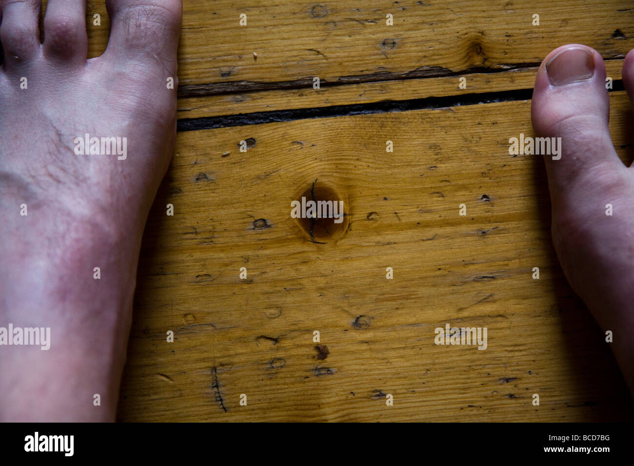 Füße und Zehen Stockfoto