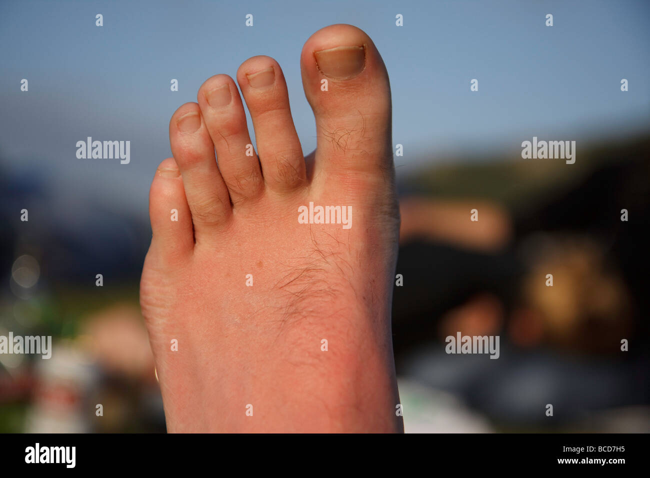 Füße und Zehen Stockfoto