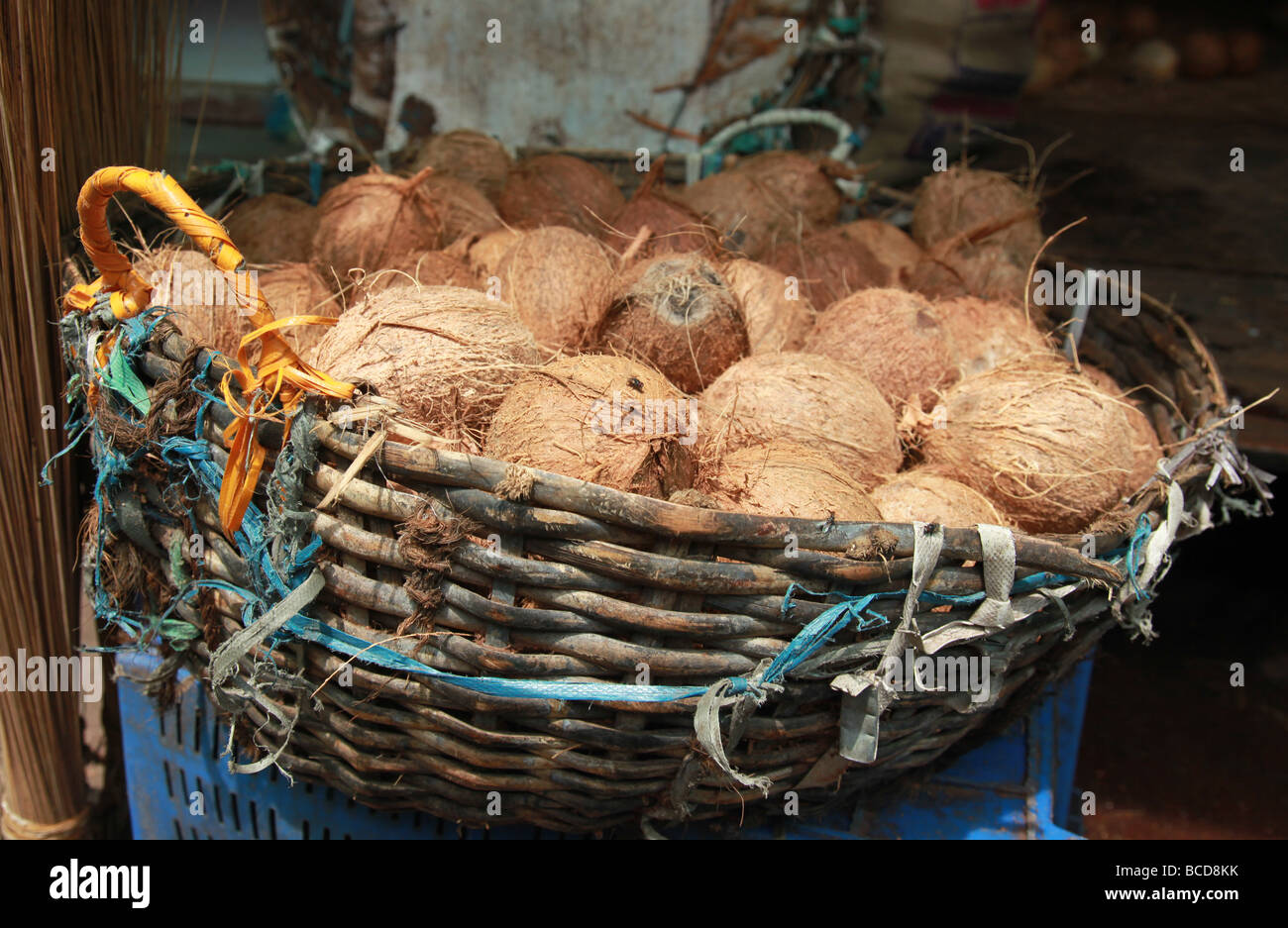 Kokosnüsse zum Verkauf an Chalai Basar, Trivandrum Kerala Indien Stockfoto