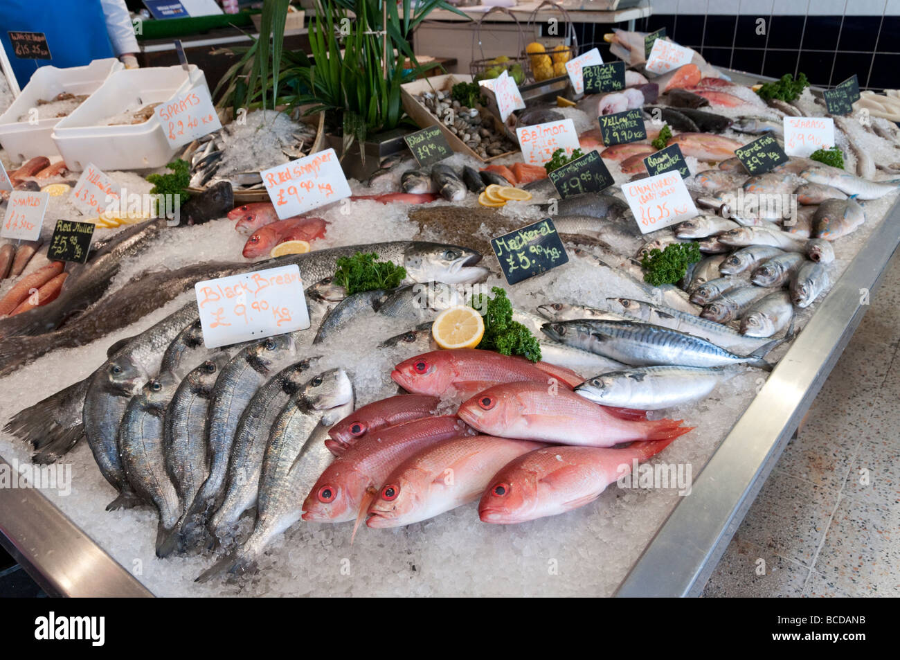 Frischer Fisch Display an lokale Fischhändler London England UK Stockfoto