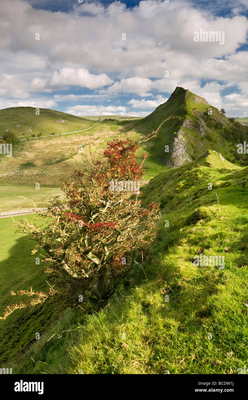 Parkhaus Hügel aus Chrom Hill, Peak District National Park, Derbyshire, England, UK Stockfoto