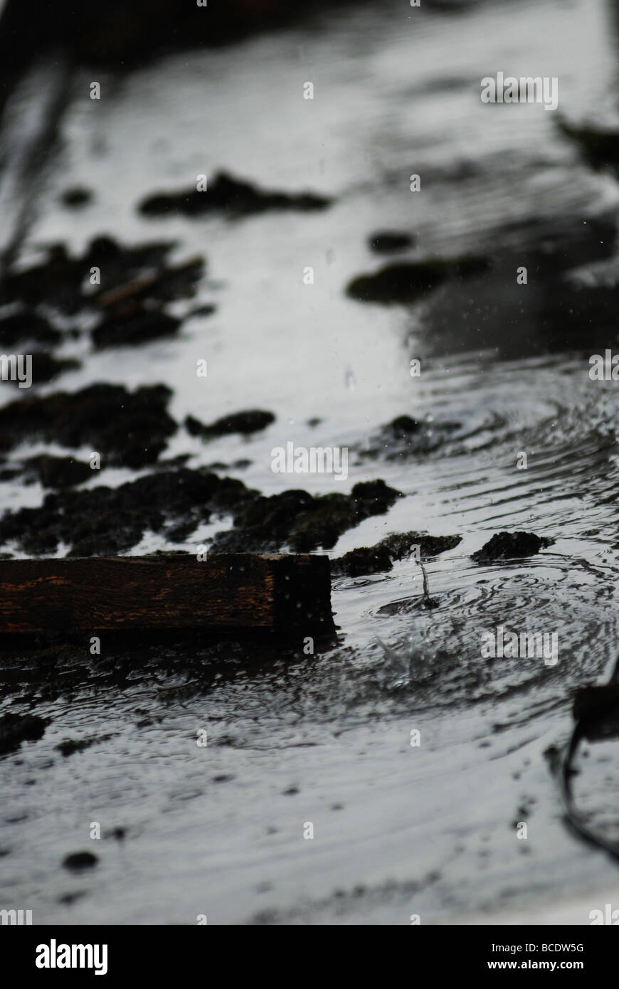 Wassertropfen auf nassem Dach Stockfoto