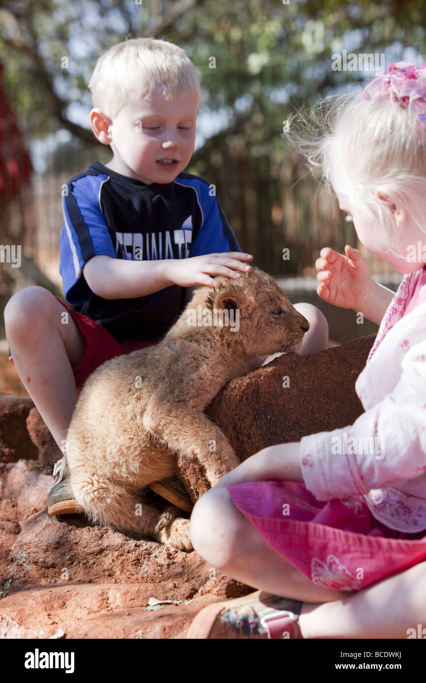 Zwei kleine blonde Kinder spielen mit Baby Lion cub Stockfoto