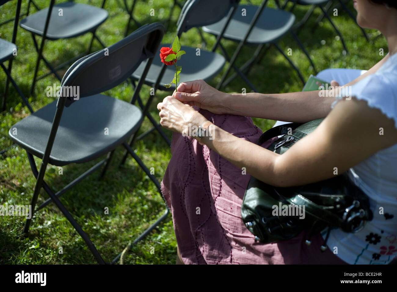 Eine Frau hält eine rote Rose liegt in einem Park in Pec Ungarn bei einem Konzert. PEC wurde als Kulturhauptstadt Europas 2010 gewählt Stockfoto