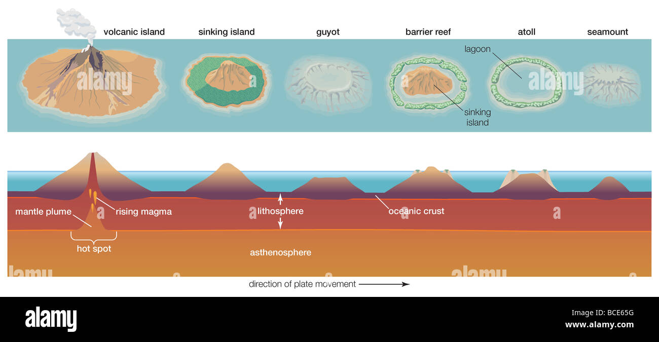 Schematische Darstellung der Prozess der Bildung von Atoll. Atolle werden aus Rest Teile des Sinkens vulkanischer Inseln gebildet. Stockfoto