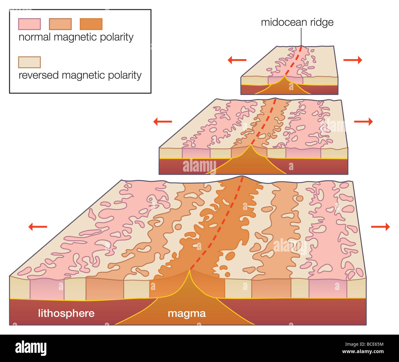 Die Existenz von parallelen magnetischen Anomalien in der ozeanischen Kruste bestätigt die Hypothese des Seafloor verbreiten. Stockfoto