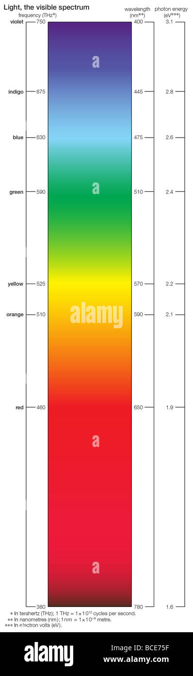 Die Farben des sichtbaren Spektrums variieren je nach ihren Wellenlängen. Stockfoto