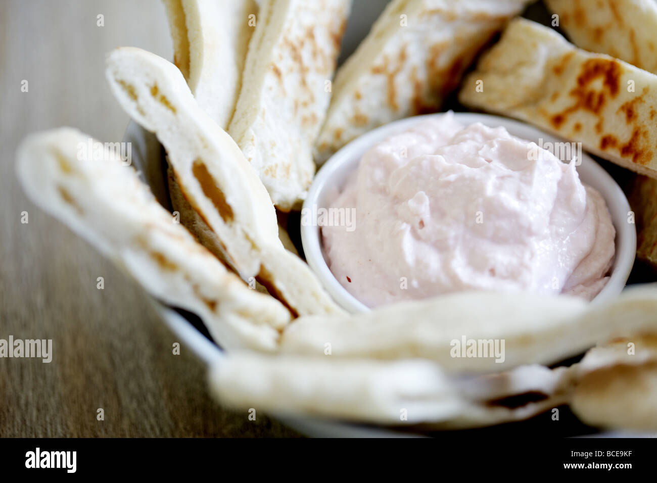 Pitta Stockfotos Und Bilder Kaufen Alamy