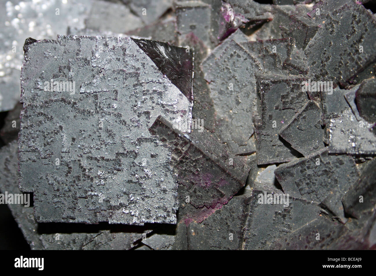 Geologische Mineral Fluorit Illinois, USA Stockfoto