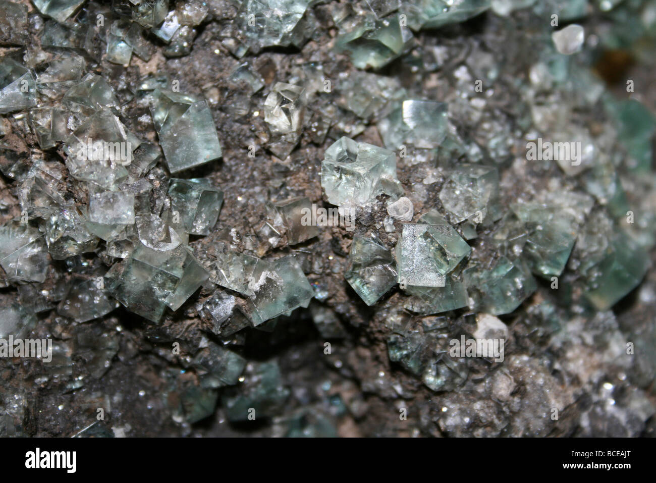 Geologische Mineral Fluorit Weardale, Durham, Großbritannien Stockfoto