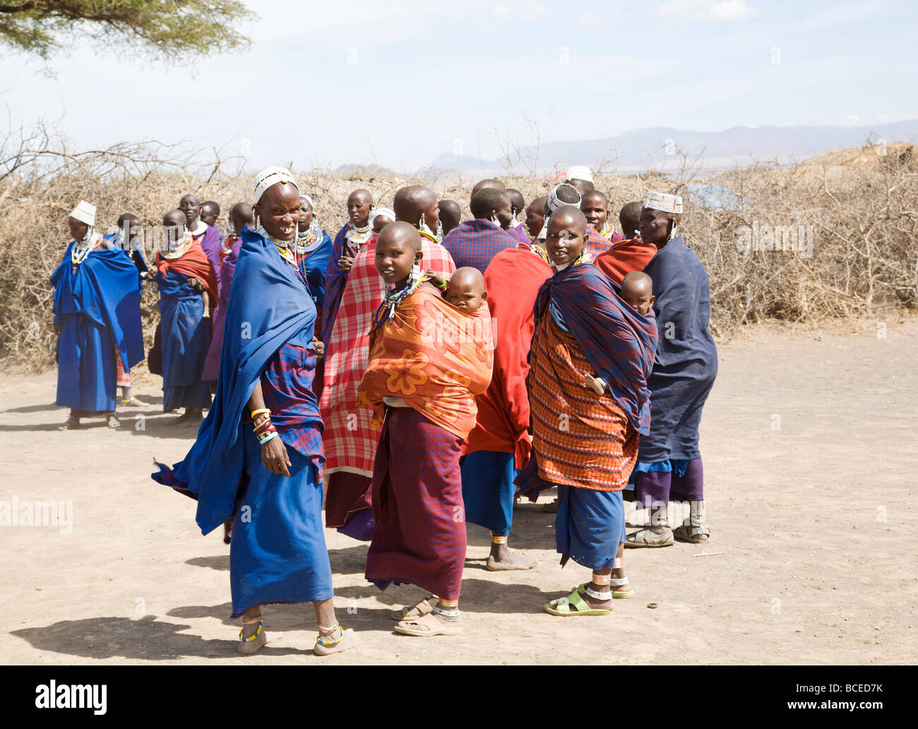 Gruppe von Masai Frauen außerhalb ihrer Willage. Stockfoto