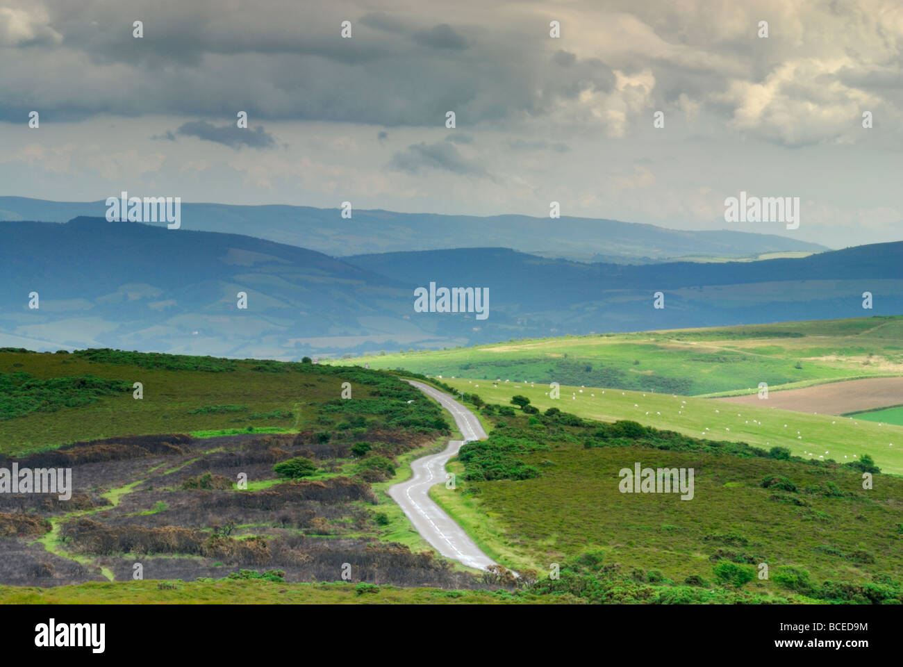 Die A39-Straße in der Nähe von Porlock im Exmoor Nationalpark somerset England UK Stockfoto