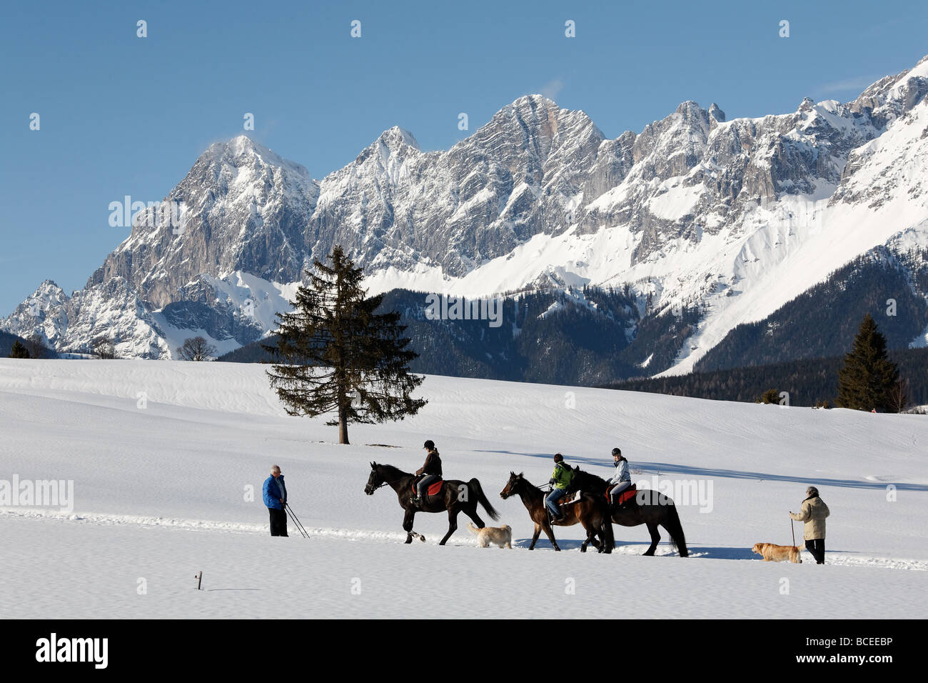 Reiter unter einem sonnigen Winterhimmel Stockfoto