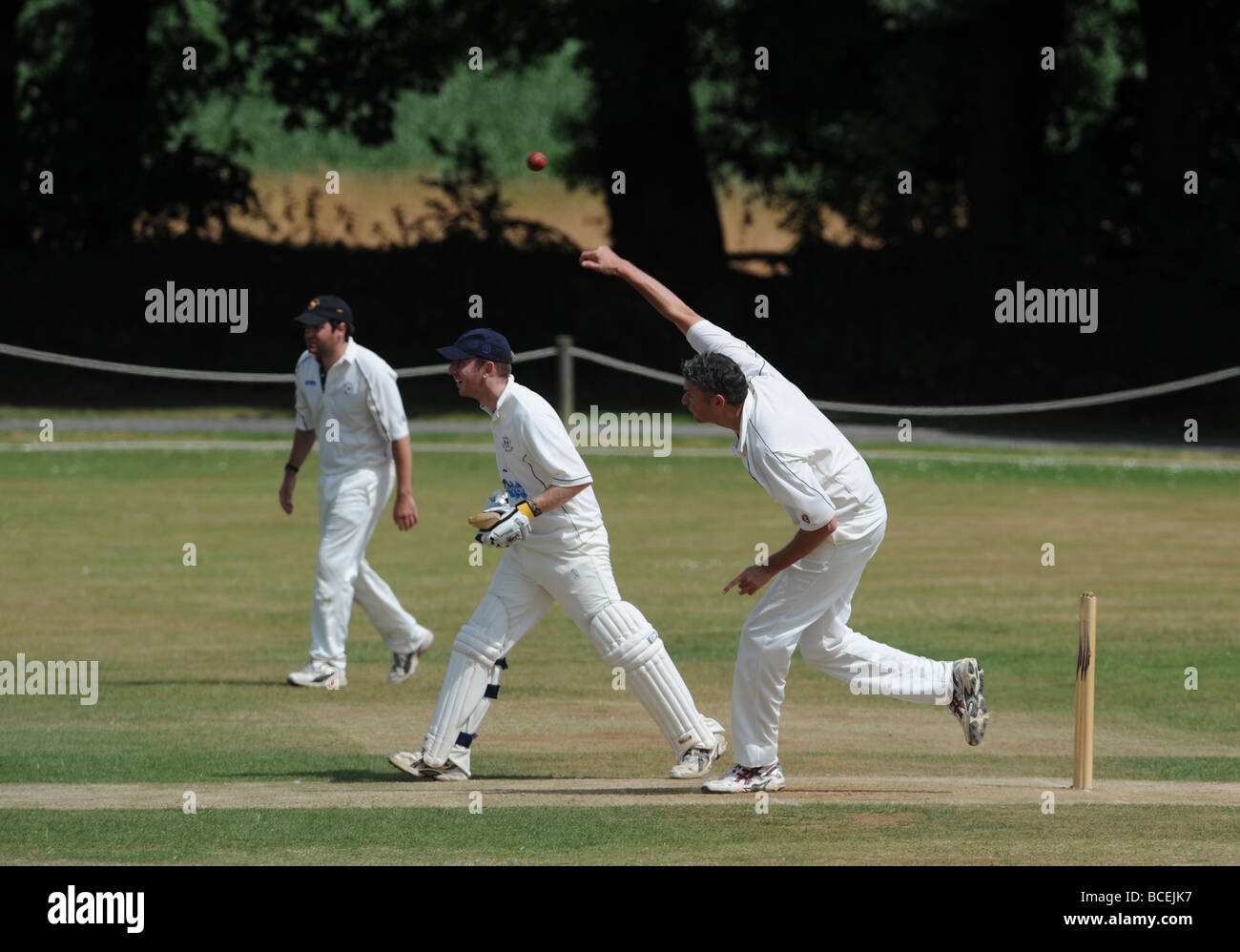 Aktion in der Sussex League Cricket match zwischen Findon und Slinfold auf den langen Furlong Boden am Fuße der South Downs Stockfoto