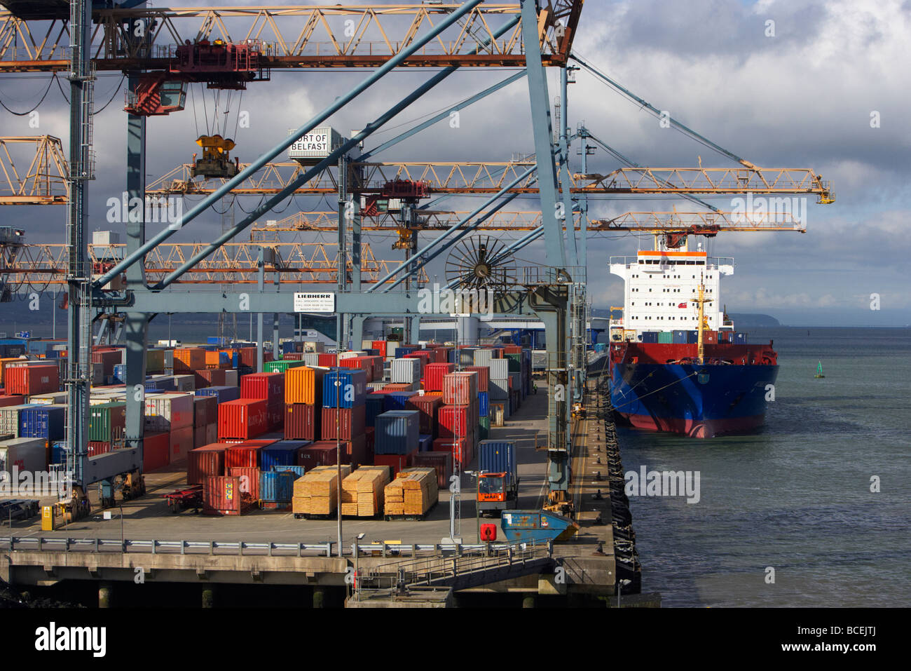 Frachter Wybelsum entladen Container im Hafen von Belfast Belfast Hafen Nordirland Großbritannien Europa Stockfoto