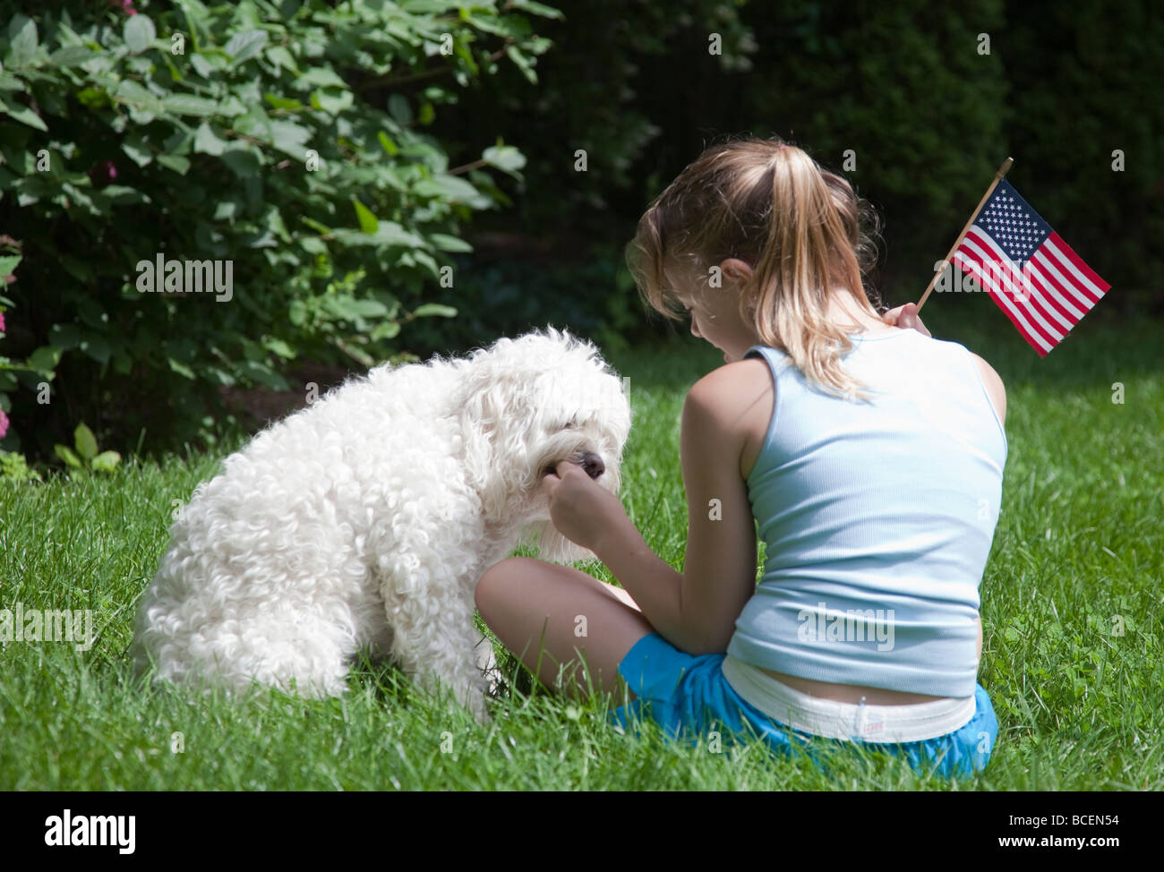 Kind hält eine amerikanische Flagge, wie sie ihrem Hund ein Leckerbissen gibt Stockfoto