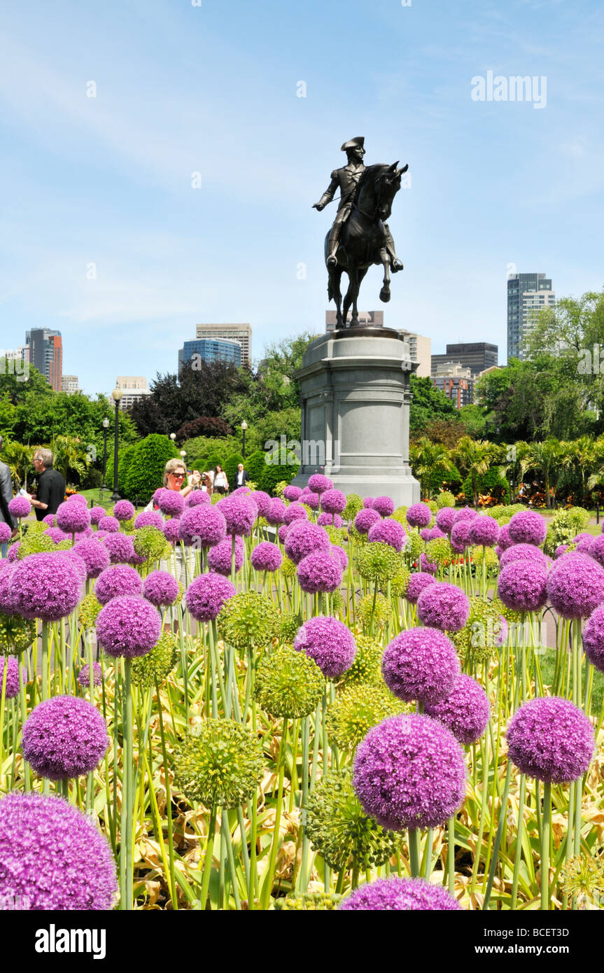 Statue von George Washington mit riesigen Alliums blühen in der Boston Public Garden neben dem Boston Common. Stockfoto