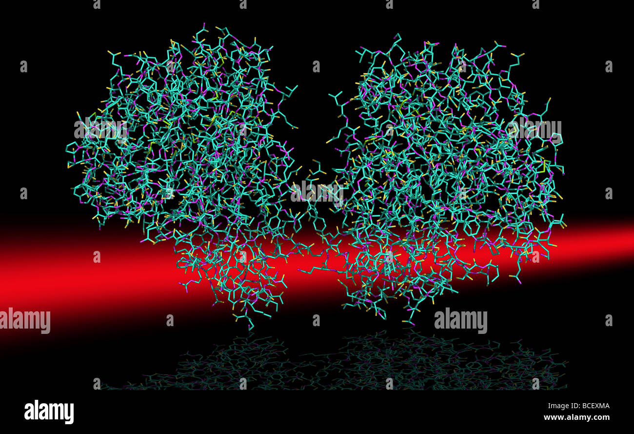 Strukturmodell der H1N1-Schweinegrippe-Virus Homodimeric komplexe Stockfoto