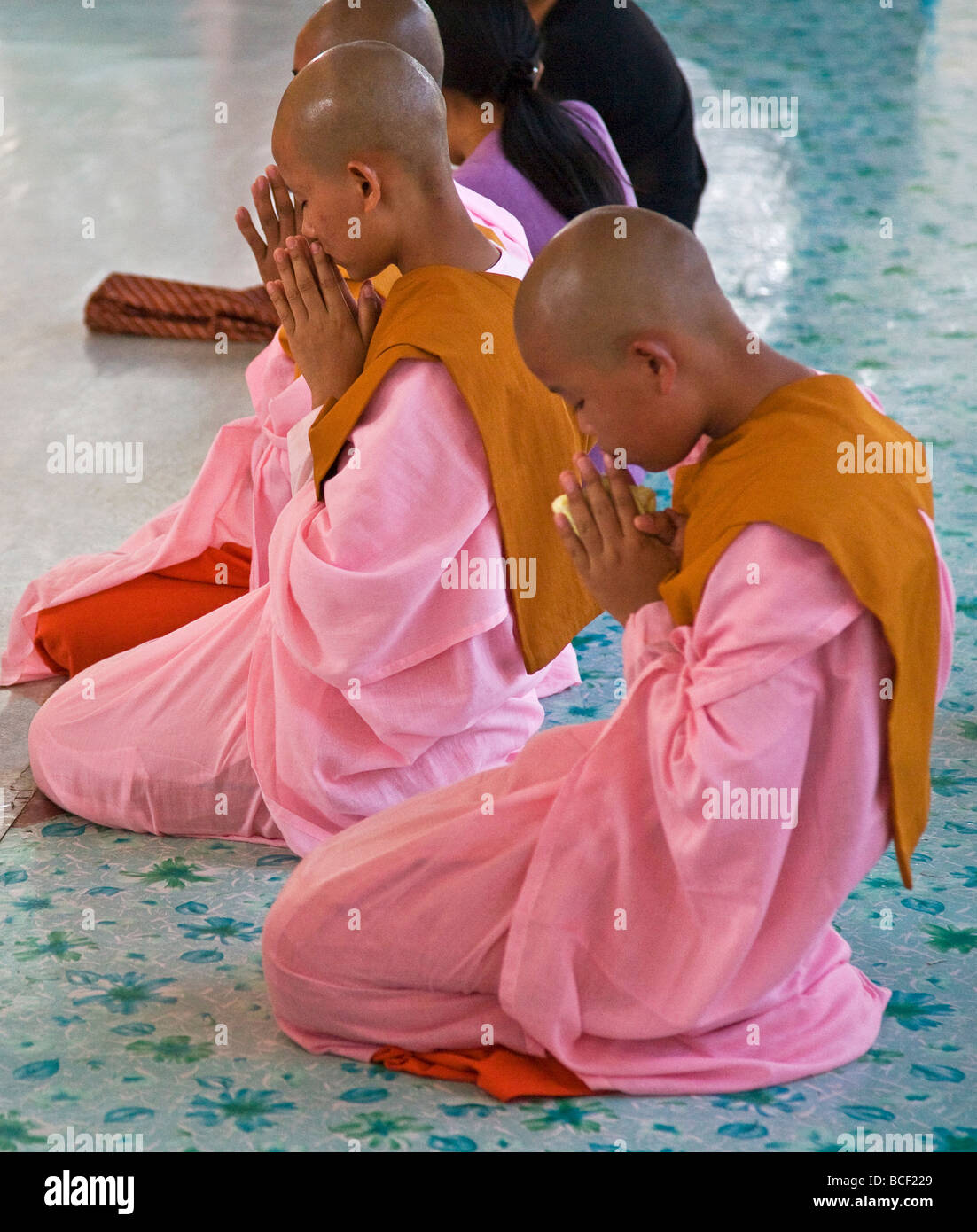 Myanmar, Burma, Yangon. Junge buddhistische Nonnen beten auf dem Gelände des liegenden Buddha in Yangon. Stockfoto