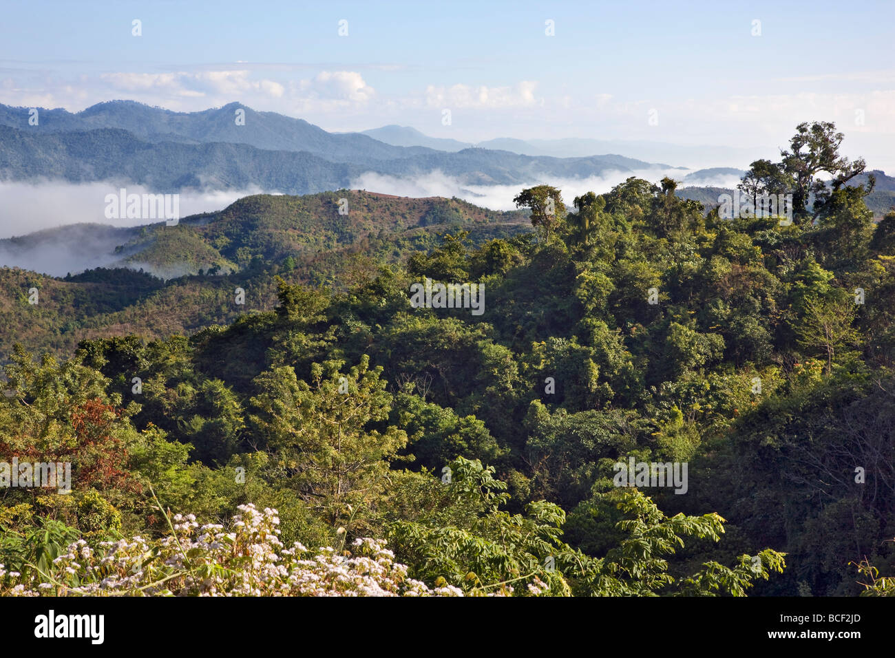 Myanmar, Burma, Kengtung. Niedrige Wolken umarmen die Täler der Loi Pfanne Gähnen Hügel auf 2.200 Meter über dem Meeresspiegel zu steigen. Stockfoto