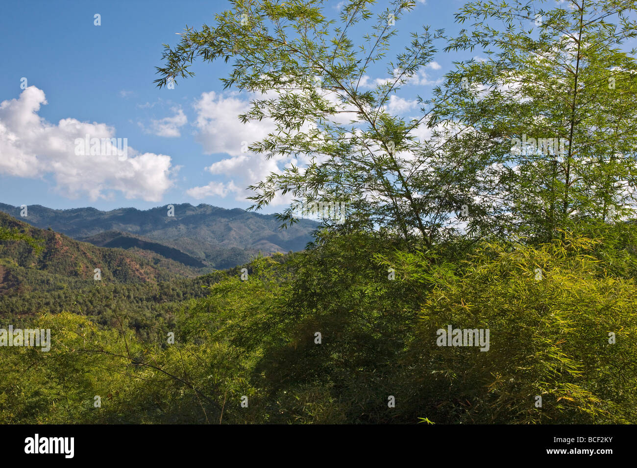 Myanmar, Burma, Kengtung. Ein Teil des Shan-Gebirges mit Bambus wächst in den Vordergrund. Stockfoto