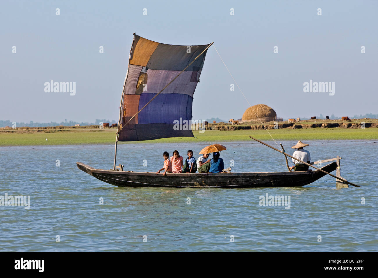 Myanmar, Burma, Kaladan Fluss. Einem traditionellen Segelboot am Fluss Kaladan mit Vieh und einem Heuhaufen von Reisstroh. Stockfoto