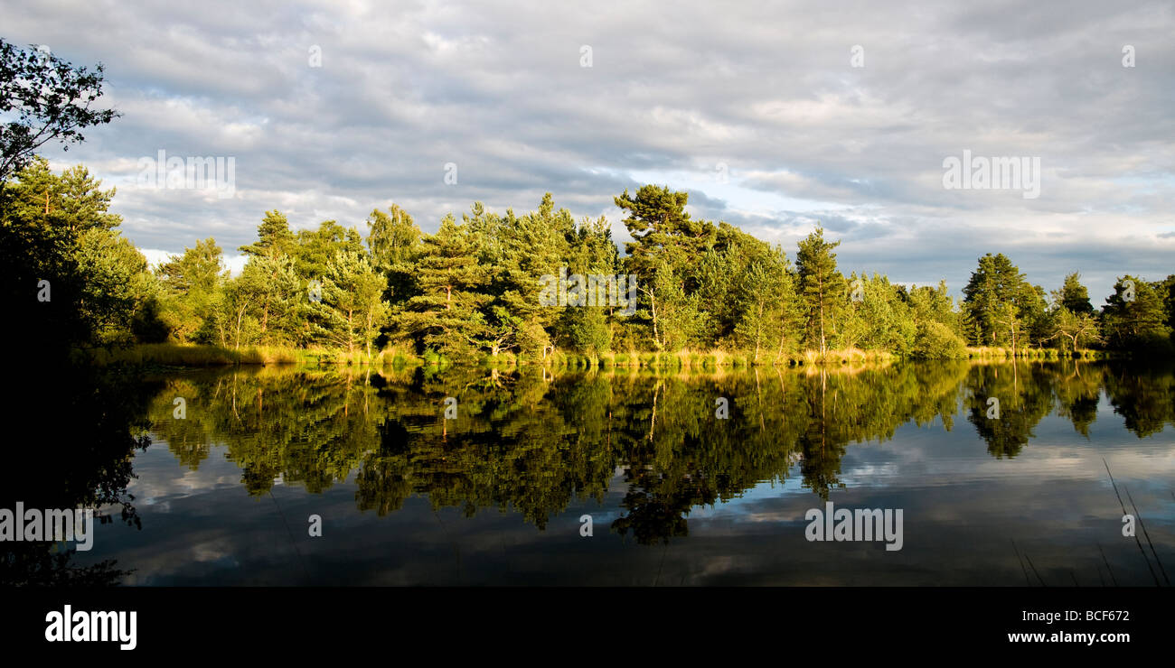 Der Teich am Thursley gemeinsamen Stockfoto