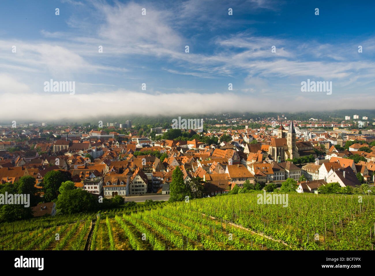 Deutschland, Baden-Wurttemberg, Esslingen-Am-Neckar, Blick vom Weinberg Stockfoto