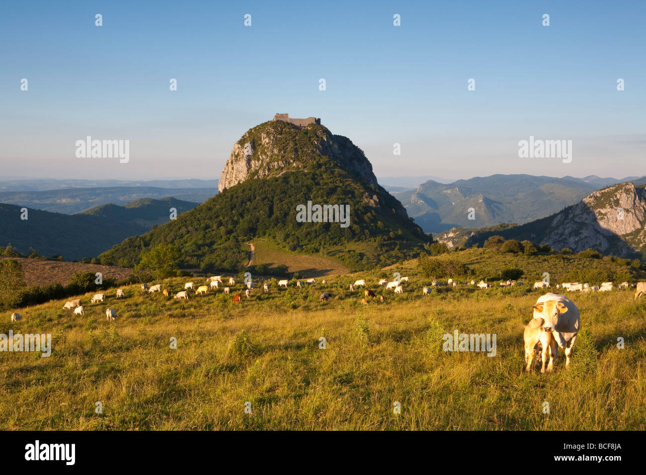 Montségur, Ariege, Midi-Pyrenäen, Frankreich Stockfoto