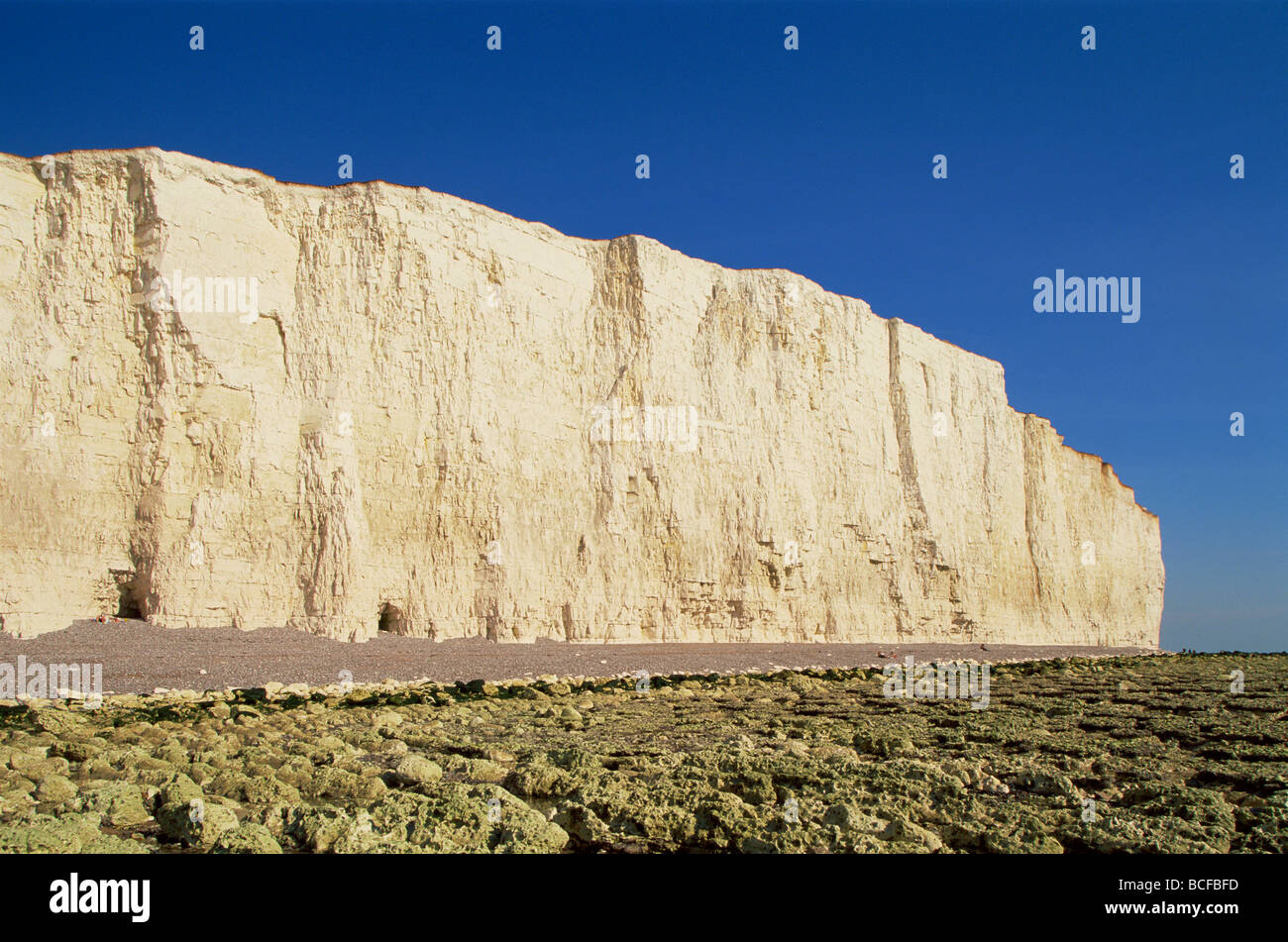 England, East Sussex, Strand von sieben Schwestern und Beachy Head Stockfoto