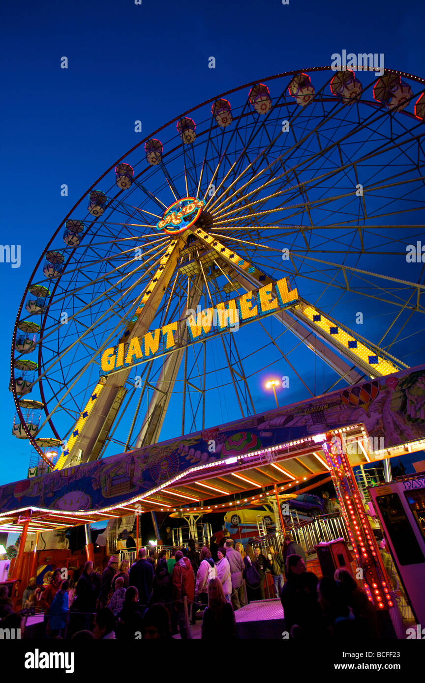 Gans, Messe, Nottingham, England, UK Stockfoto