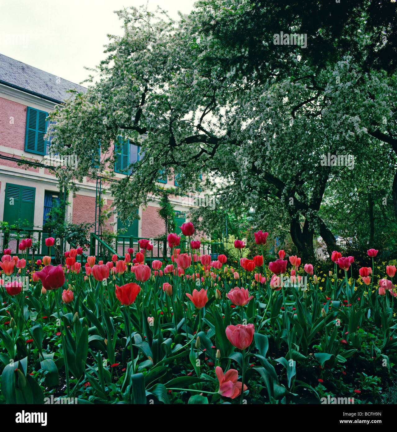 Monets Garten in Giverny in Normandie Frankreich Stockfoto