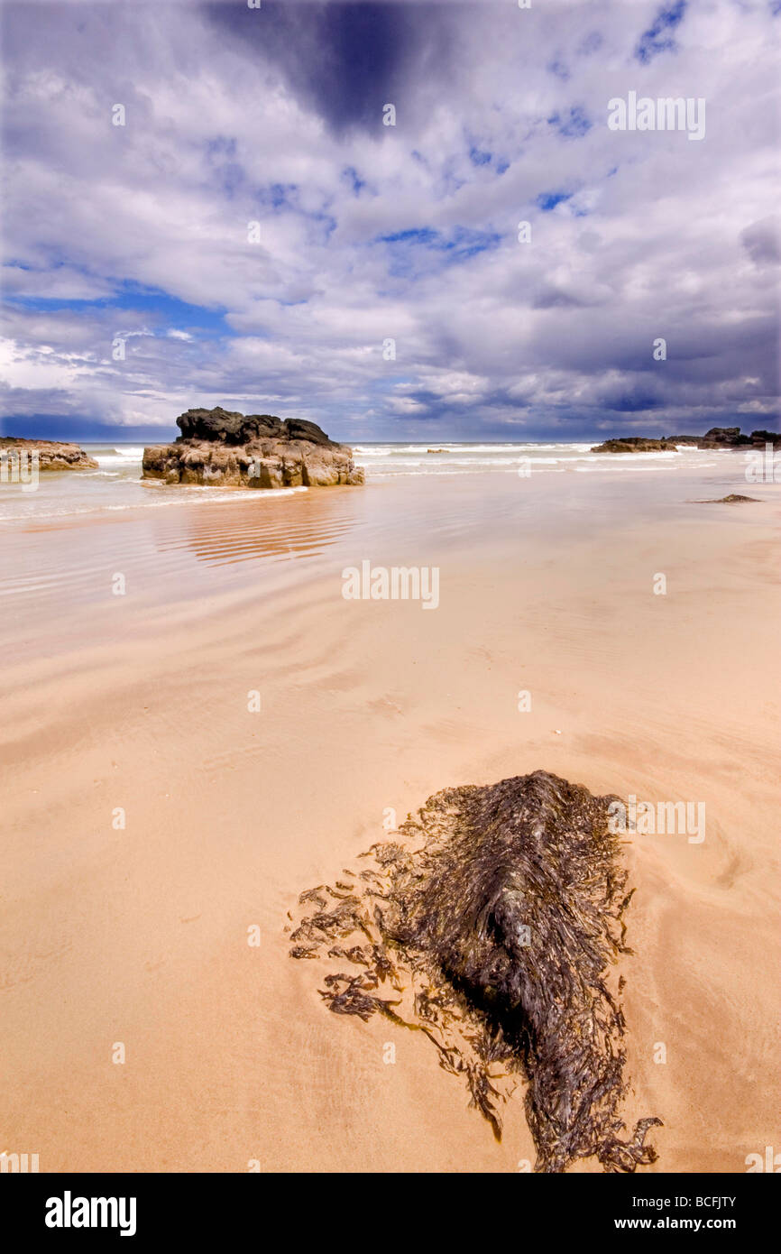 Dramatische Küstenlandschaft am Downhill Beach im County Londonderry-Nordirland Stockfoto