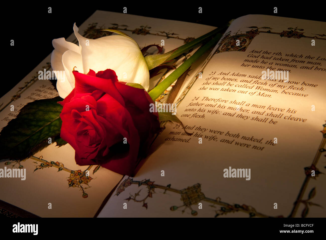 Rosen und Bibel mit Genesis Text von Adam und Eva, typische Hochzeit Text - Abbildung aus einem 400 Jahre alten Bibel kopiert wird Stockfoto