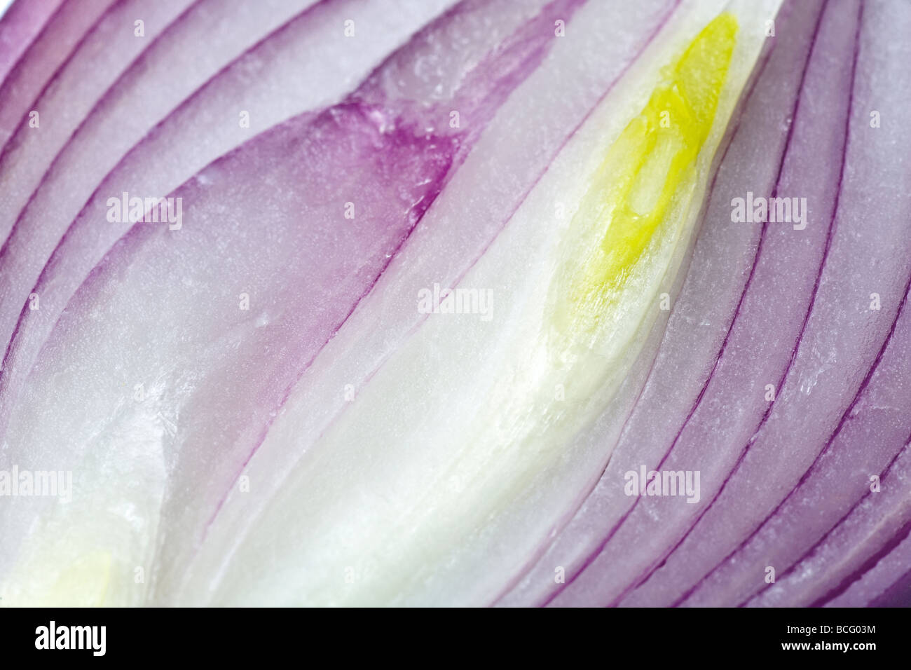 Vitamin Split violette Zwiebel (Makro, Hintergrund) Stockfoto