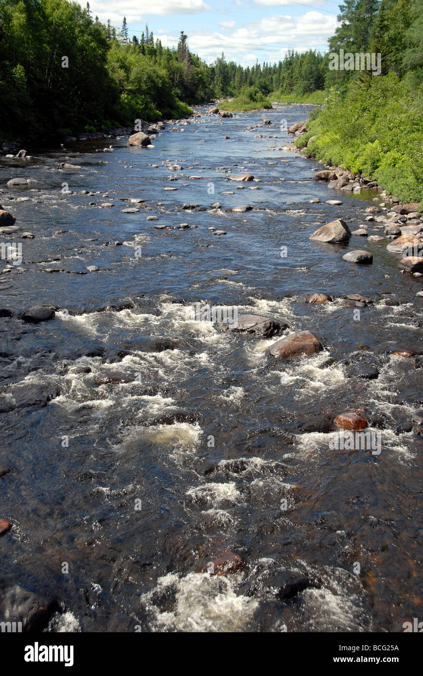 Exploits River Grand Falls-Windsor Neufundland Kanada Stockfoto