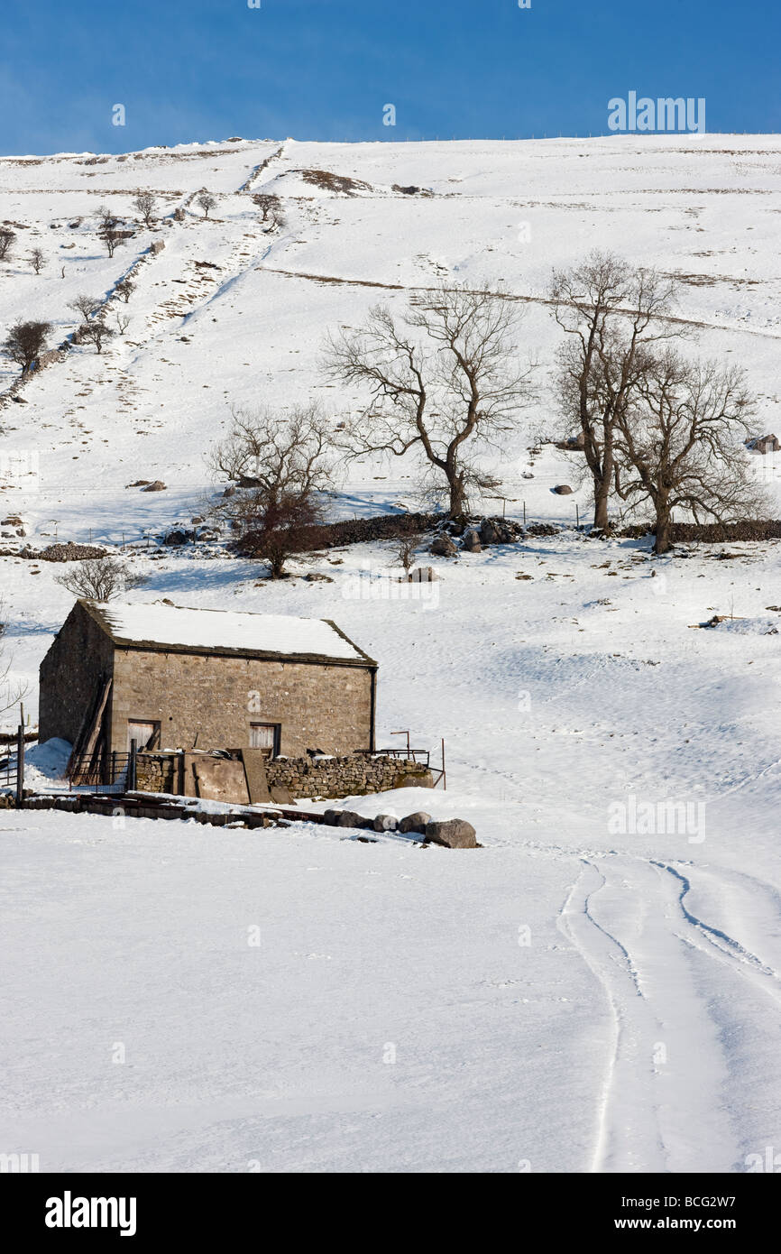 Ein Feld-Stall im Schnee, Upper Wharfedale in der Nähe von Kettlewell, Yorkshire Dales National Park UK Stockfoto