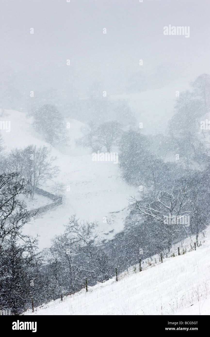 Fallender Schnee auf einen kalten Winter Tag UK Stockfoto