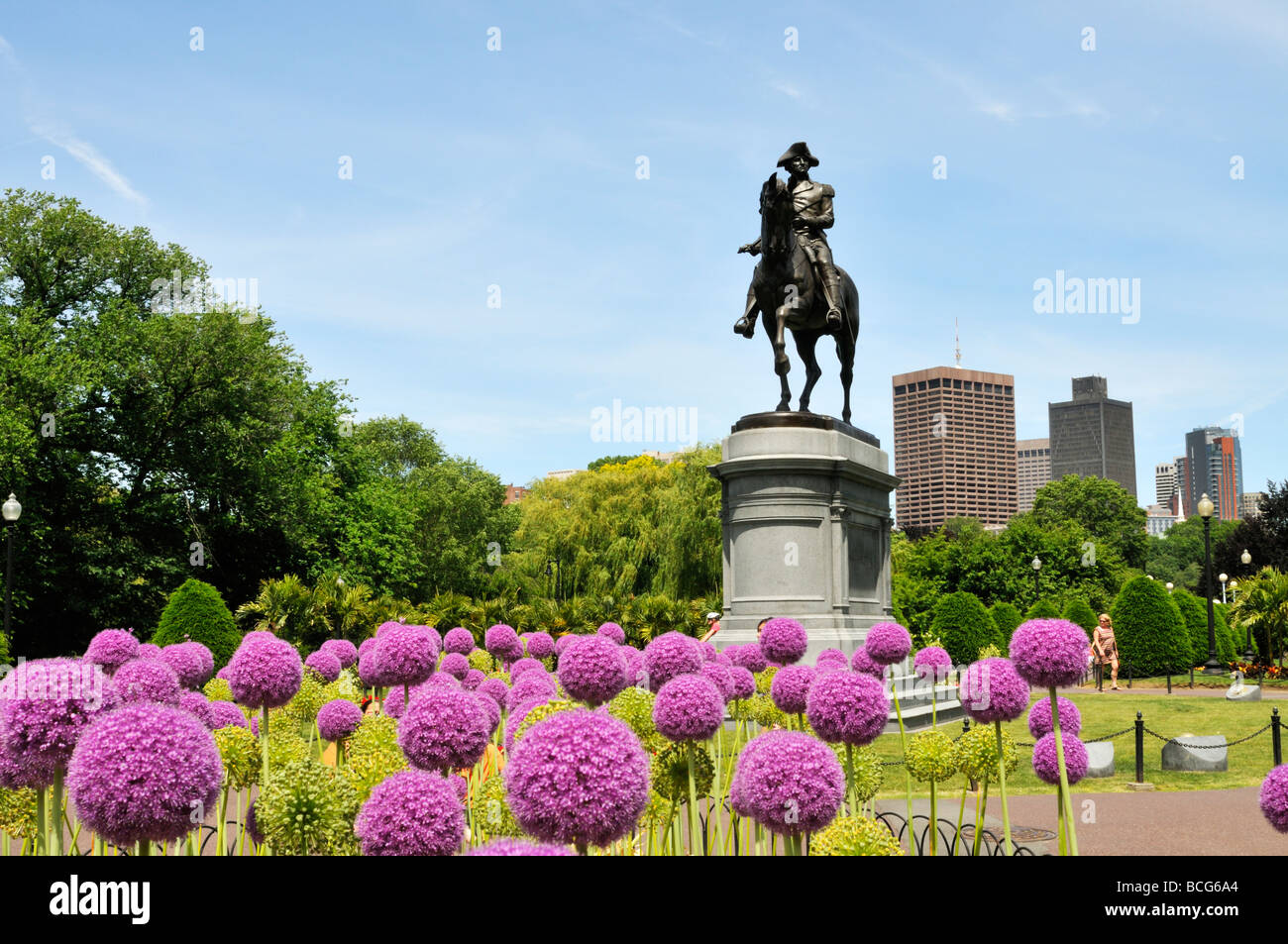Statue von George Washington in den öffentlichen Gärten des Boston Common mit Giant Allium in voller Blüte und Stadt Skyline im Hintergrund Stockfoto